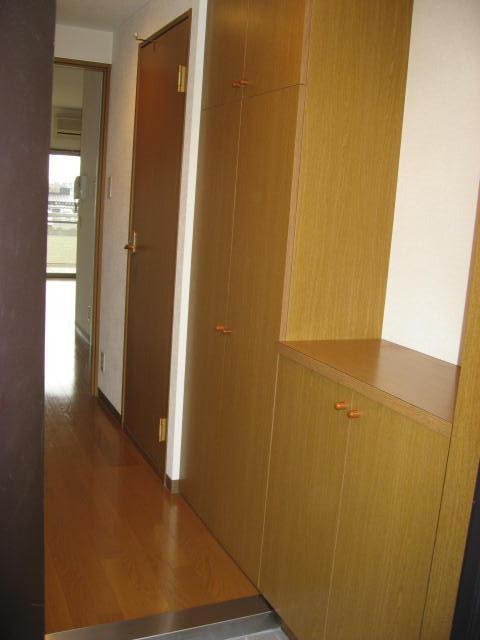 Entrance. Ceiling height shoes BOX