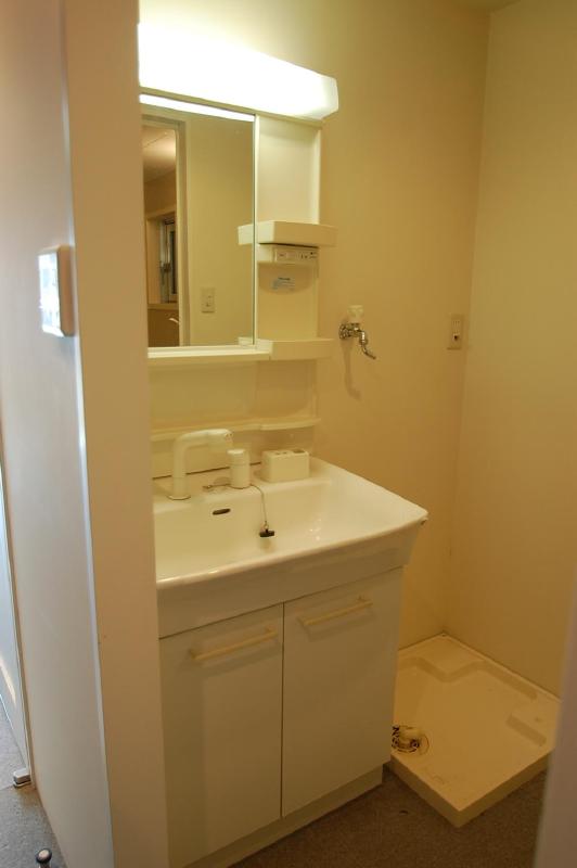 Washroom. Shampoo dresser