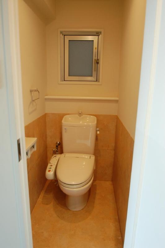 Toilet. Shower toilet