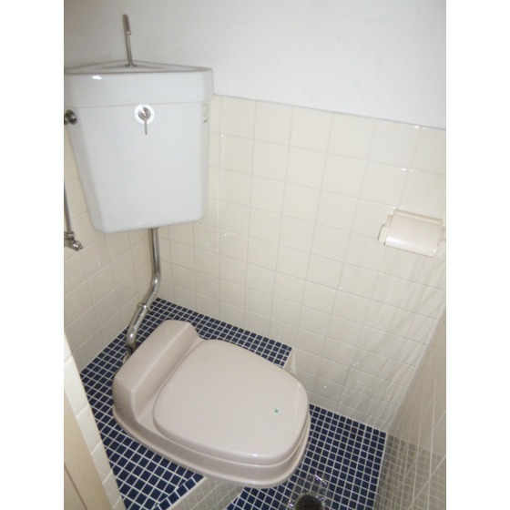 Toilet. Western style