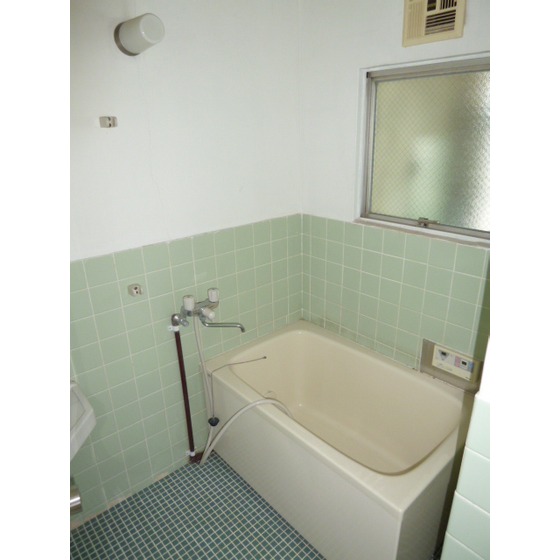 Bath. There is a window in the bathroom