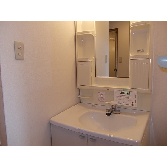 Washroom. Wash basin