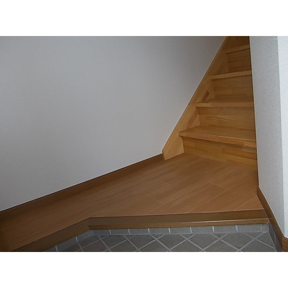 Entrance. Entrance stairs