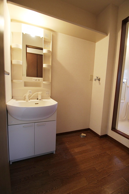 Washroom. It is a reference photograph of the inverted type