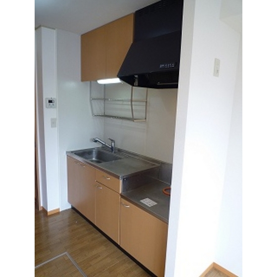 Other. Kitchen (1R type)