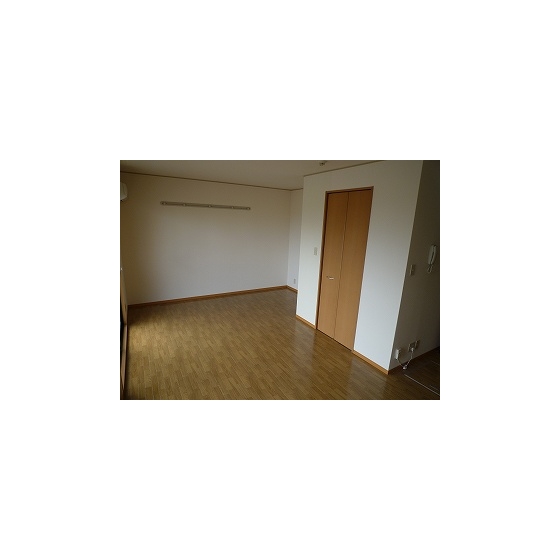 Other. Room (1R type)