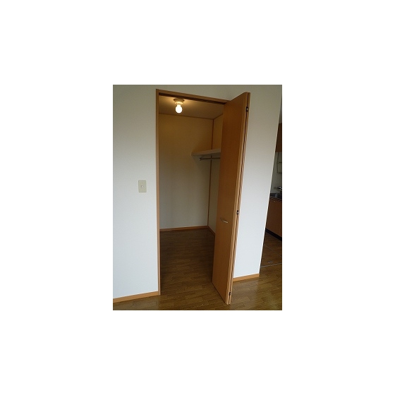 Other. Walk-in closet (1R type)