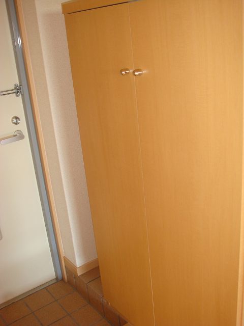 Entrance. With shoes BOX