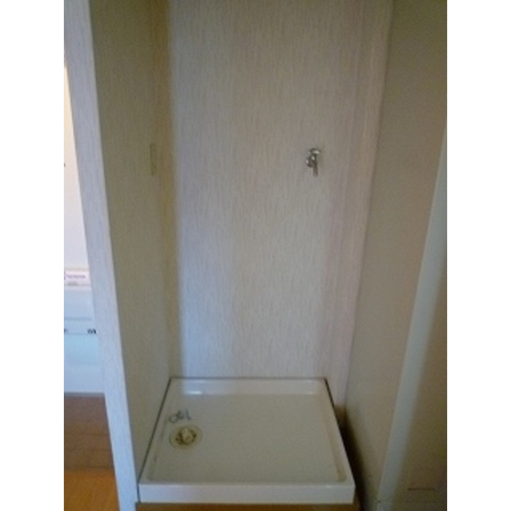 Other. Washing machine in the room