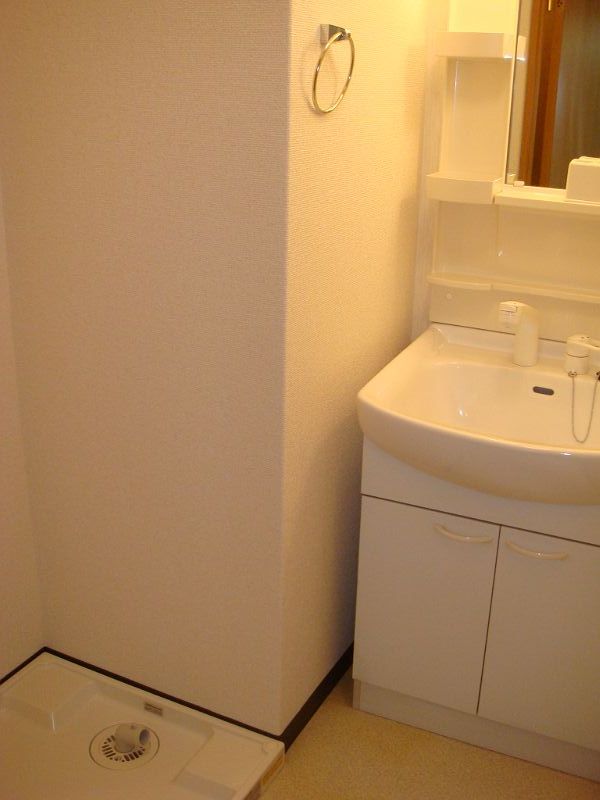 Washroom. With shampoo dresser