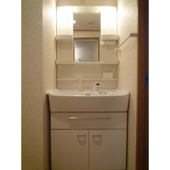 Other. Shampoo dresser