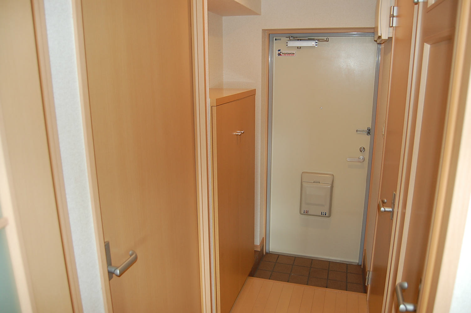 Entrance. With shoes BOX