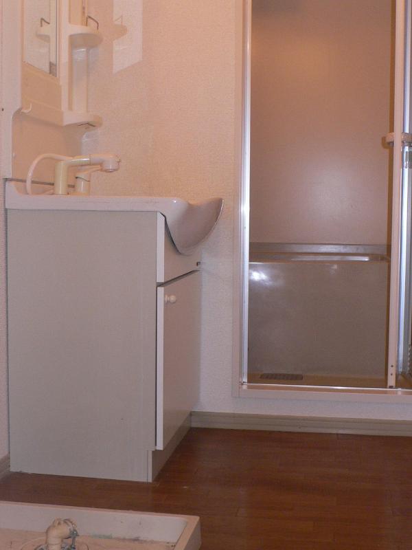 Washroom. Shampoo wash basin