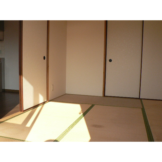 Living and room. Japanese style room