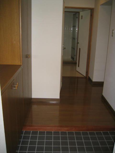 Entrance. Ceiling height shoes BOX