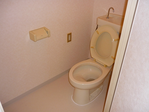 Toilet. Water washing is a Western-style.