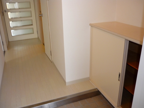 Entrance. Passage there.