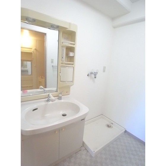 Washroom. Wash basin