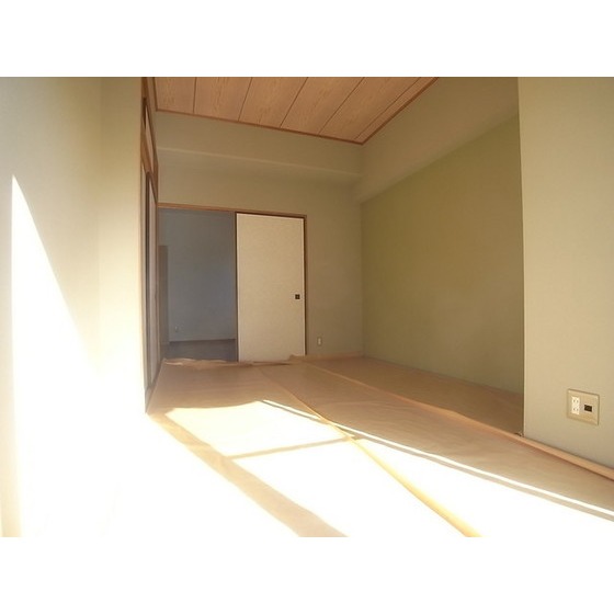 Living and room. Japanese style room