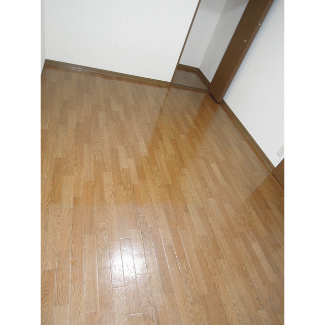 Other room space. Western style room