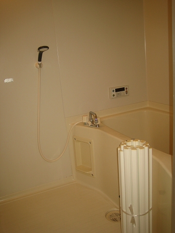 Bath. Bathing with reheating function