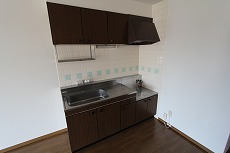 Kitchen. Two-burner stove is