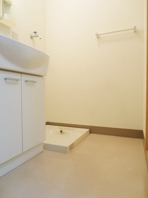 Washroom. Washroom. Of course, it is Indoor Laundry Area