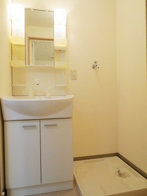 Washroom. Shampoo dresser