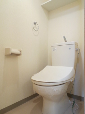 Toilet. Warm water cleaning toilet seat with toilet. There is also a shelf at the top