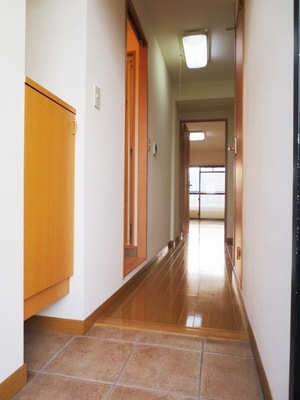 Entrance. From the front door. There is also a shoe box