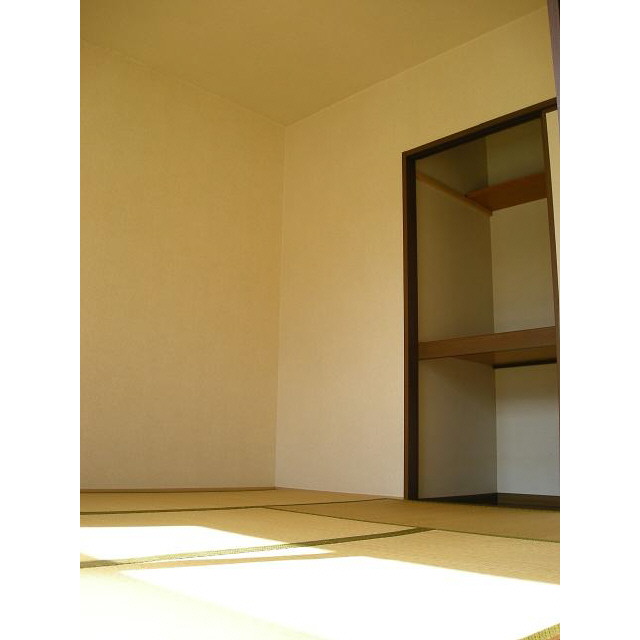 Other room space. Japanese style room