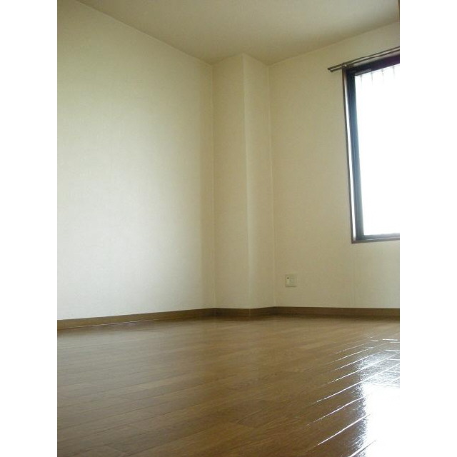 Other room space. Western style room