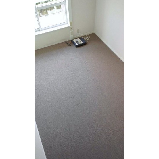 Living and room. room