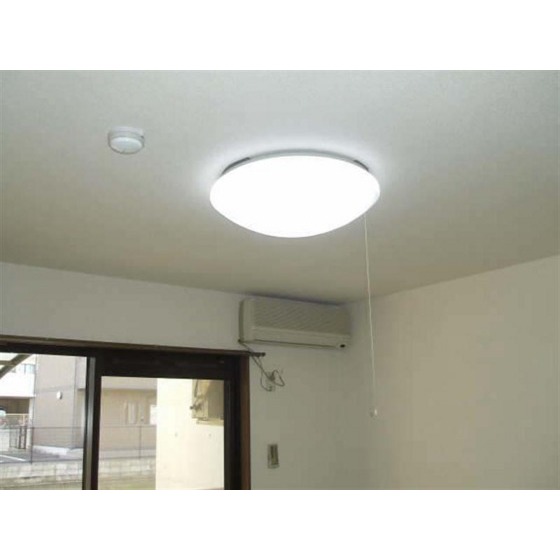 Living and room. With lighting