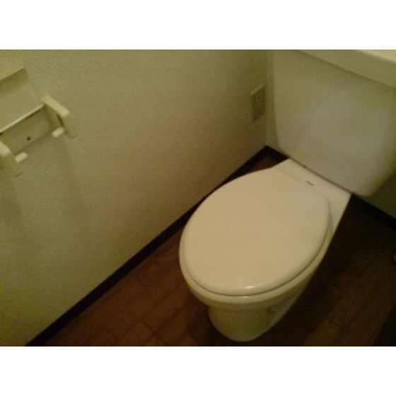 Toilet. Toilet