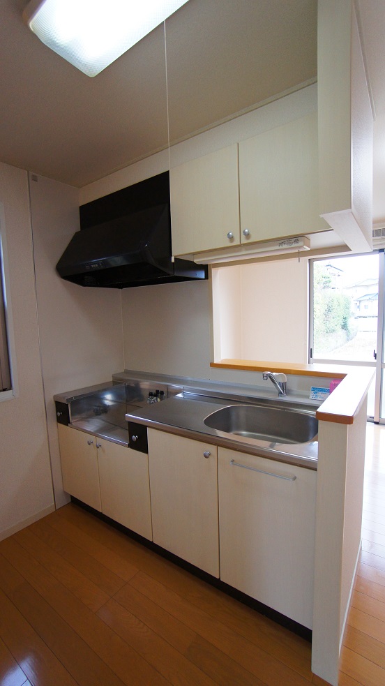 Kitchen. Face-to-face kitchen