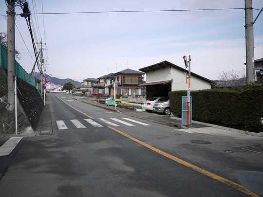 Local photos, including front road