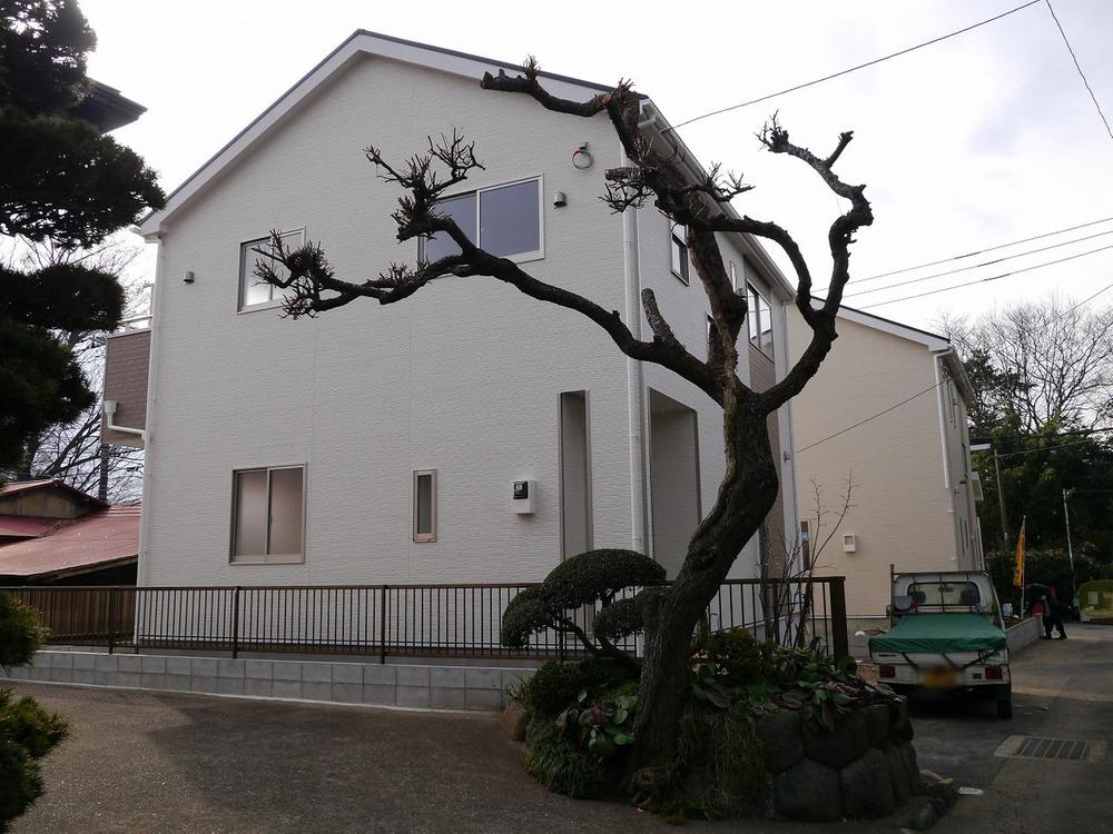 Local appearance photo