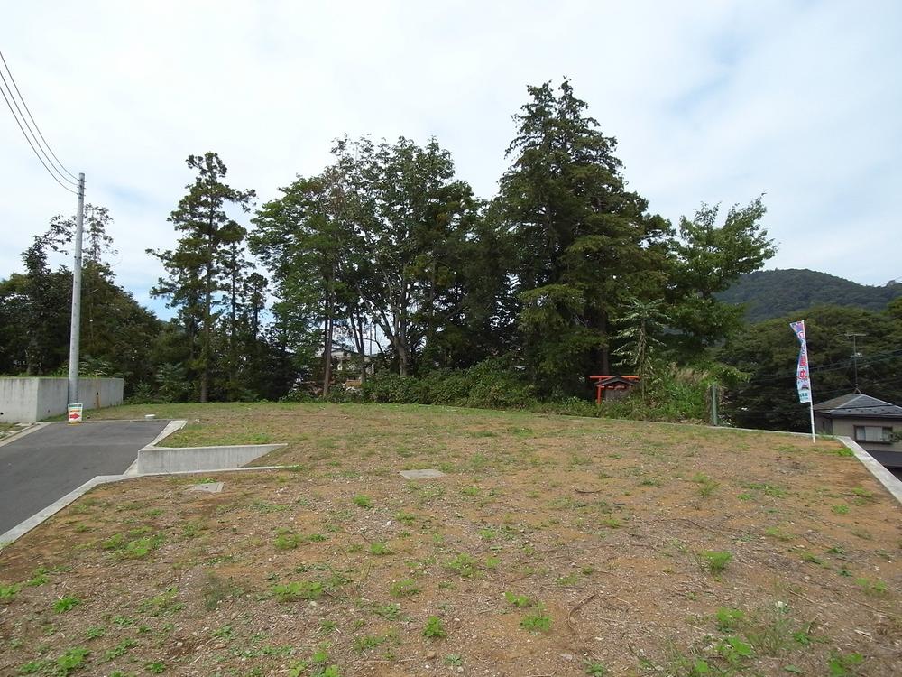 Local land photo. Local (10 May 2013) Shooting