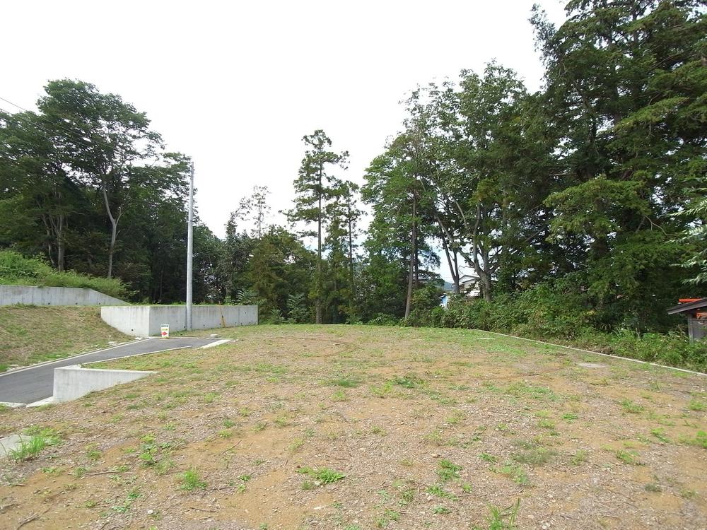 Local land photo. Local (10 May 2013) Shooting