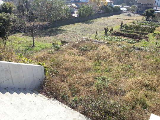 Local land photo. Local Photos