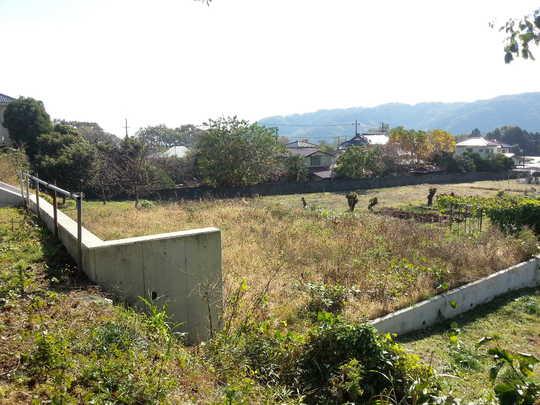 Local land photo. Local Photos