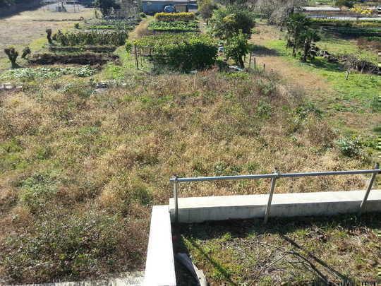 Local land photo. Local Photos