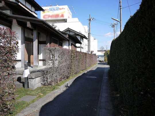 Local photos, including front road