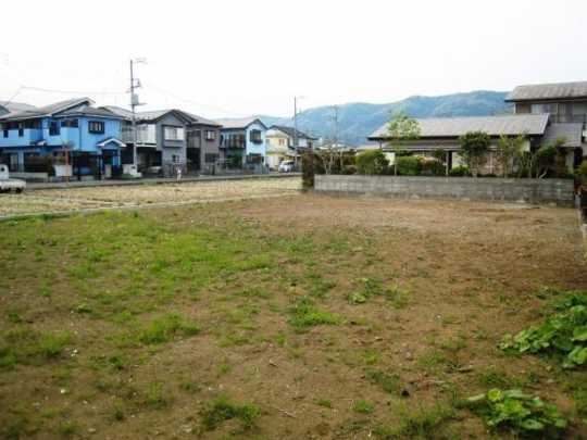 Local land photo. appearance