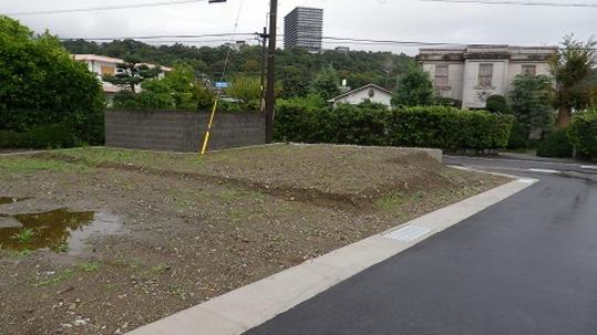 Local land photo. Local Photos