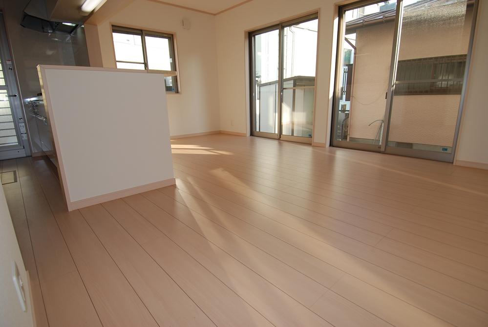 Living. Indoor (10 May 2013) Shooting