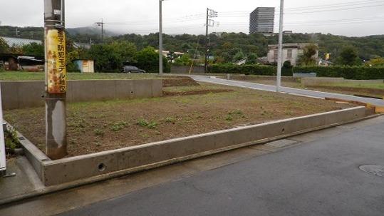 Local land photo. Local Photos