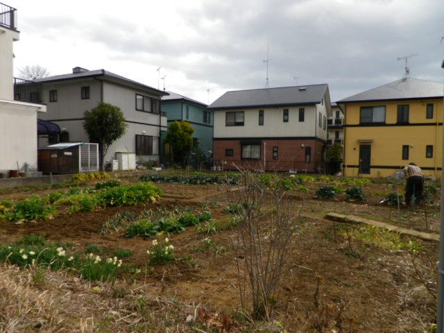 Local land photo. Local (March 2013) Shooting