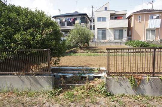 Local land photo. Local Photos